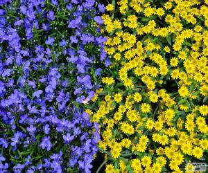 Puzzle Μπλε και κίτρινα λουλούδια